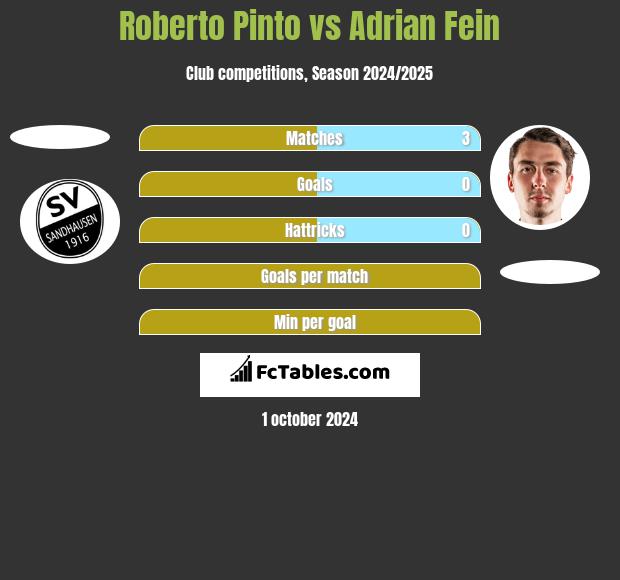 Roberto Pinto vs Adrian Fein h2h player stats