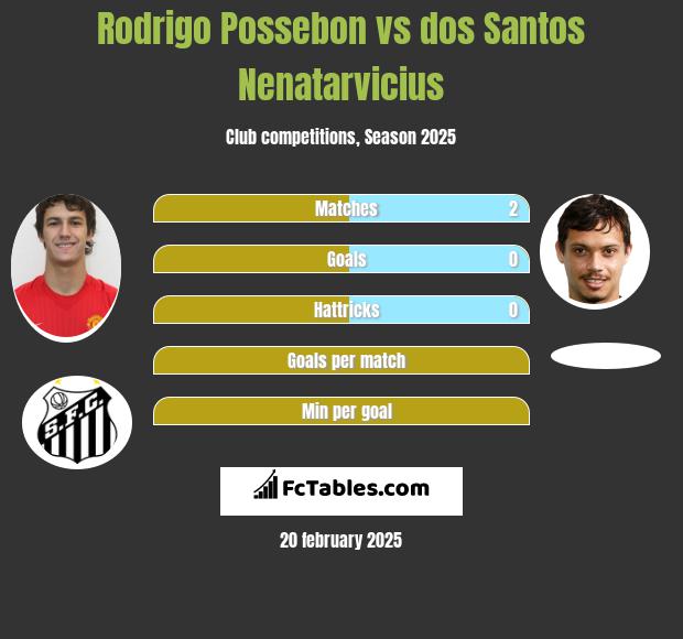 Rodrigo Possebon vs dos Santos Nenatarvicius h2h player stats