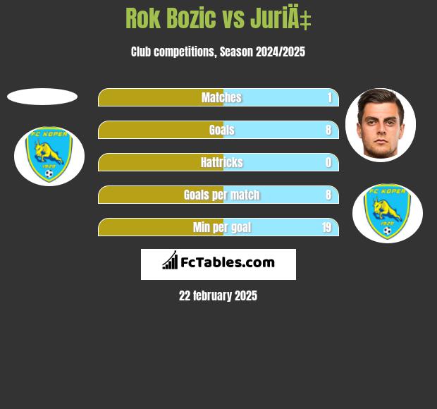 Rok Bozic vs JuriÄ‡ h2h player stats