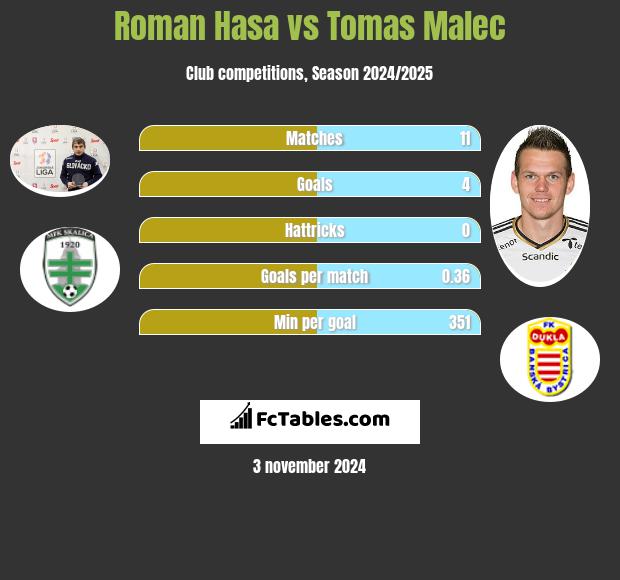 Roman Hasa vs Tomas Malec h2h player stats