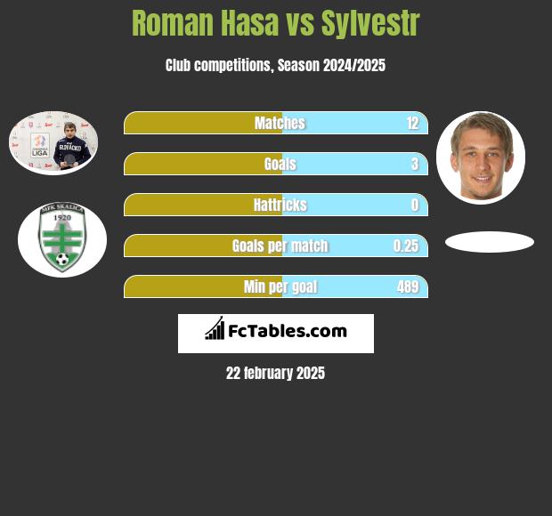 Roman Hasa vs Sylvestr h2h player stats