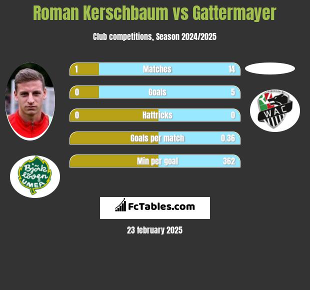 Roman Kerschbaum vs Gattermayer h2h player stats