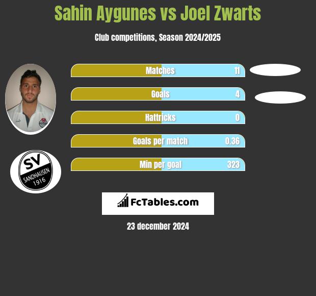 Sahin Aygunes vs Joel Zwarts h2h player stats