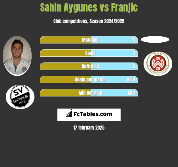 Sahin Aygunes vs Franjic h2h player stats