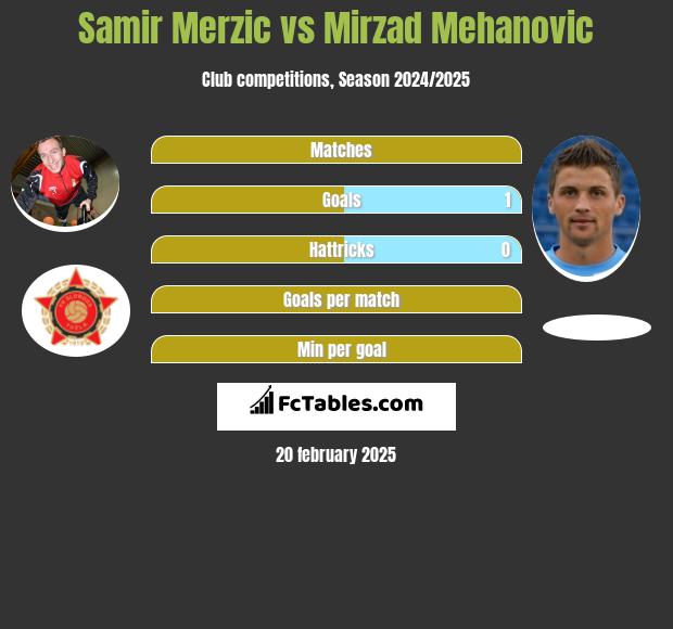 Samir Merzic vs Mirzad Mehanovic h2h player stats