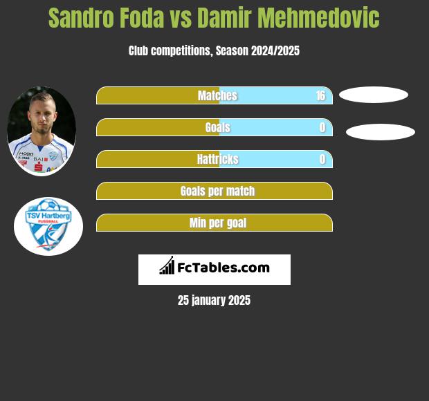 Sandro Foda vs Damir Mehmedovic h2h player stats