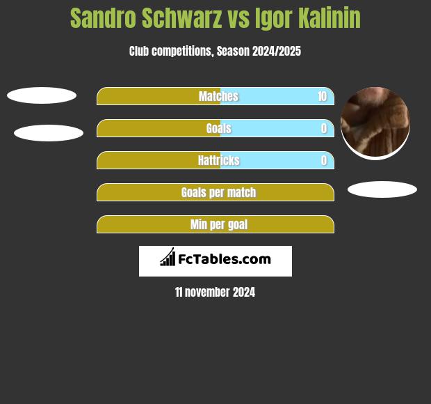 Sandro Schwarz vs Igor Kalinin h2h player stats