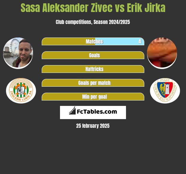 Sasa Zivec vs Erik Jirka h2h player stats