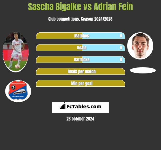 Sascha Bigalke vs Adrian Fein h2h player stats