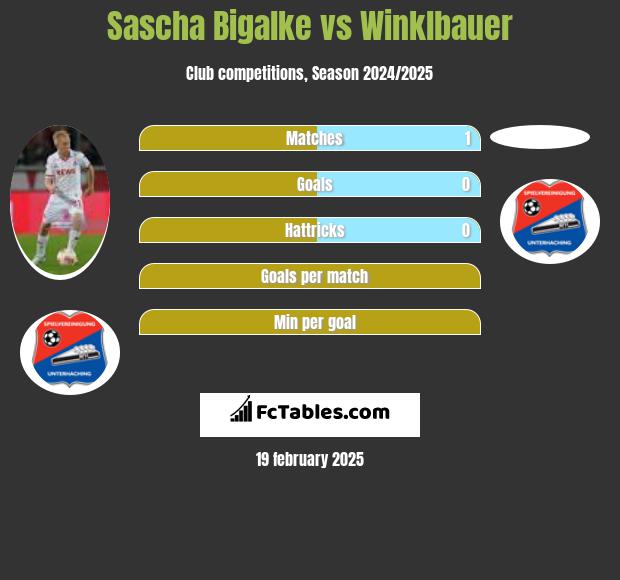 Sascha Bigalke vs Winklbauer h2h player stats