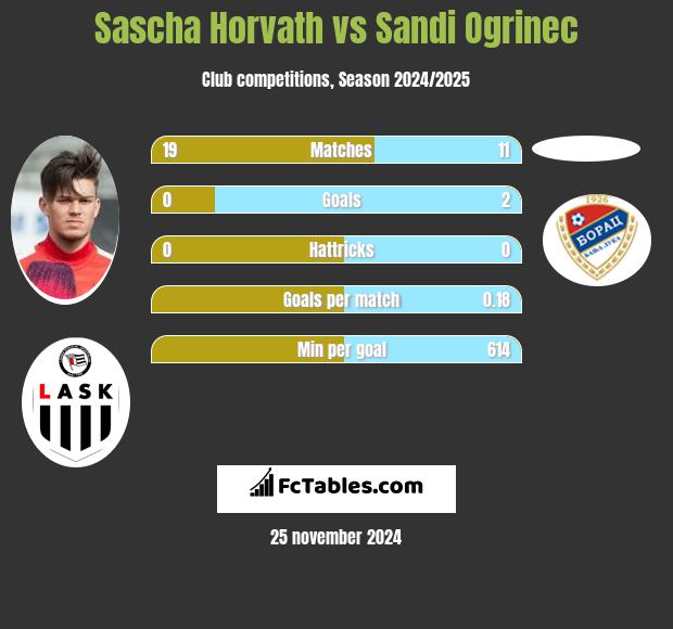 Sascha Horvath vs Sandi Ogrinec h2h player stats