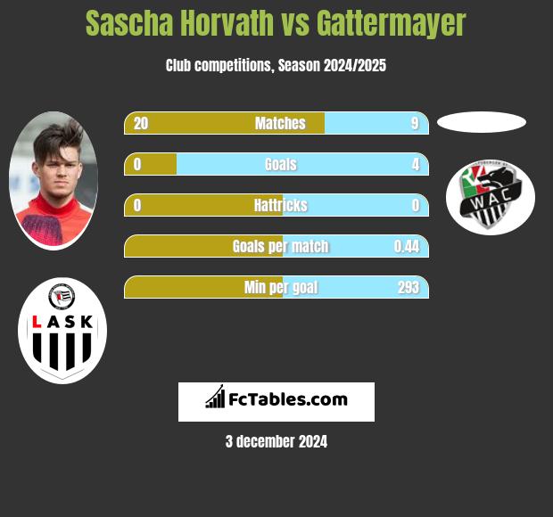 Sascha Horvath vs Gattermayer h2h player stats