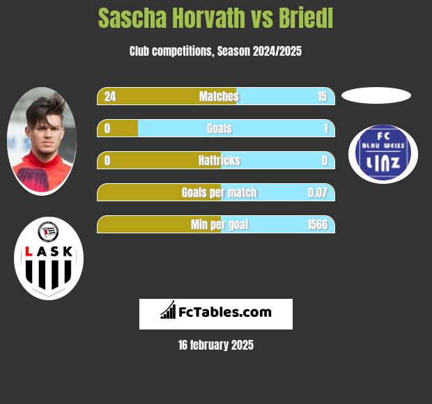 Sascha Horvath vs Briedl h2h player stats