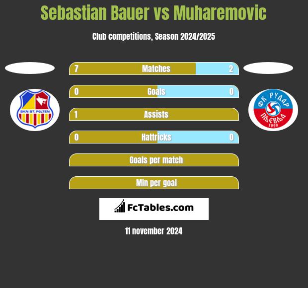 Sebastian Bauer vs Muharemovic h2h player stats