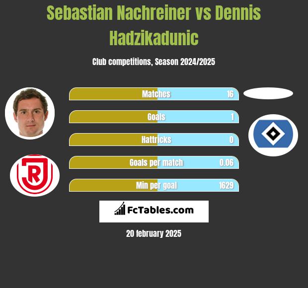 Sebastian Nachreiner vs Dennis Hadzikadunic h2h player stats