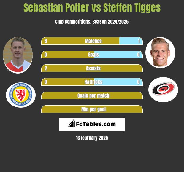 Sebastian Polter vs Steffen Tigges h2h player stats