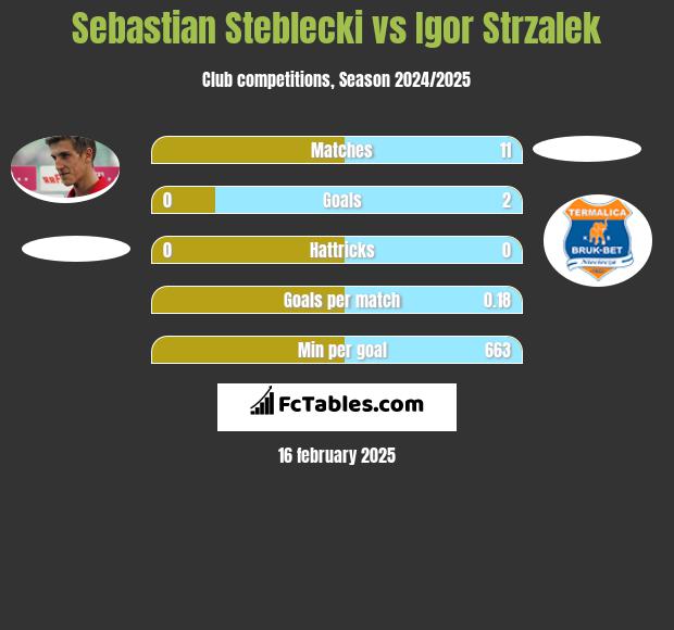 Sebastian Steblecki vs Igor Strzalek h2h player stats