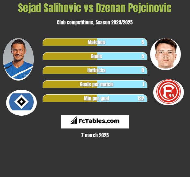 Sejad Salihović vs Dzenan Pejcinovic h2h player stats