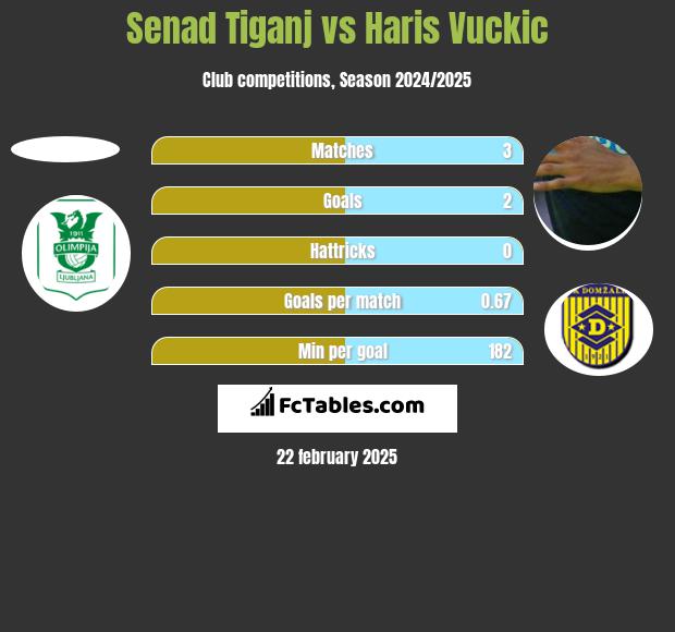 Senad Tiganj vs Haris Vuckic h2h player stats