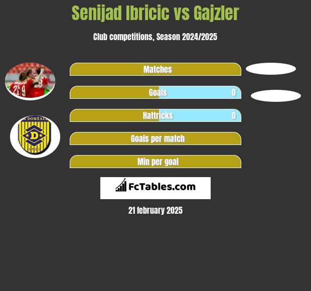 Senijad Ibricić vs Gajzler h2h player stats