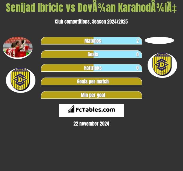 Senijad Ibricić vs DovÅ¾an KarahodÅ¾iÄ‡ h2h player stats