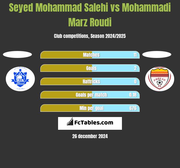 Seyed Mohammad Salehi vs Mohammadi Marz Roudi h2h player stats