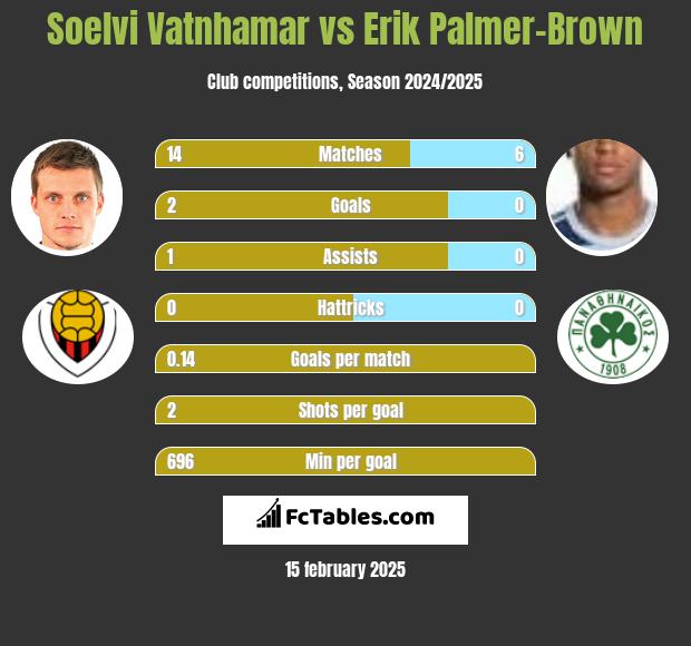 Soelvi Vatnhamar vs Erik Palmer-Brown h2h player stats