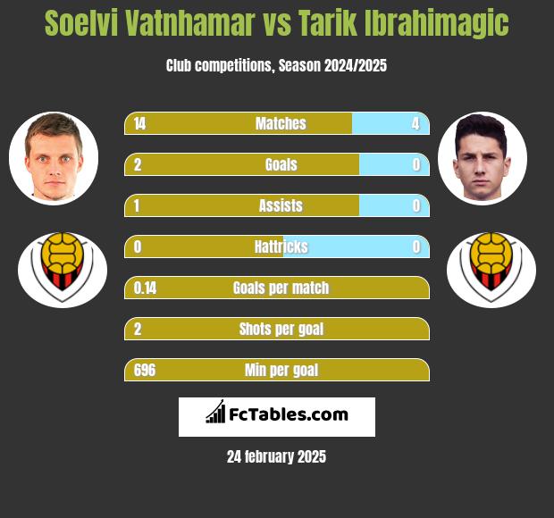 Soelvi Vatnhamar vs Tarik Ibrahimagic h2h player stats