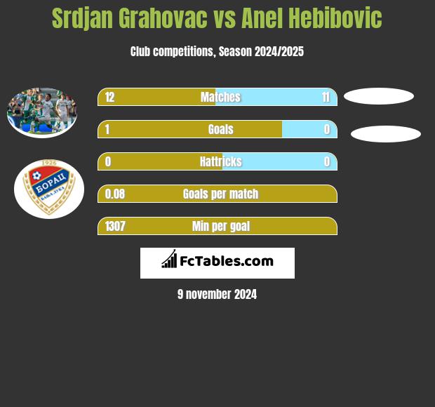 Srdjan Grahovac vs Anel Hebibovic h2h player stats