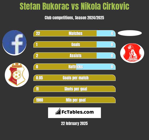 Stefan Bukorac vs Nikola Cirkovic h2h player stats