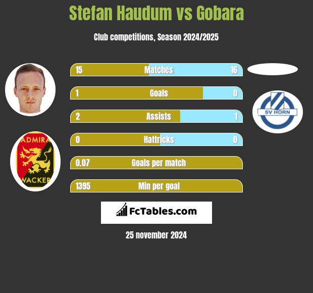 Stefan Haudum vs Gobara h2h player stats