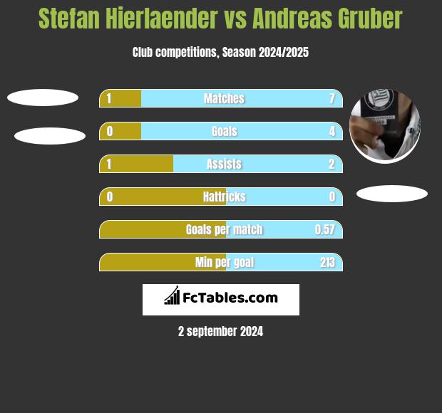 Stefan Hierlaender vs Andreas Gruber h2h player stats