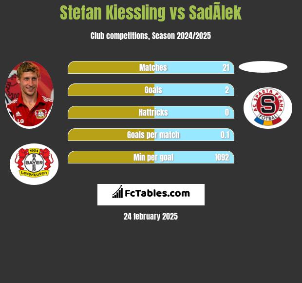 Stefan Kiessling vs SadÃ­lek h2h player stats