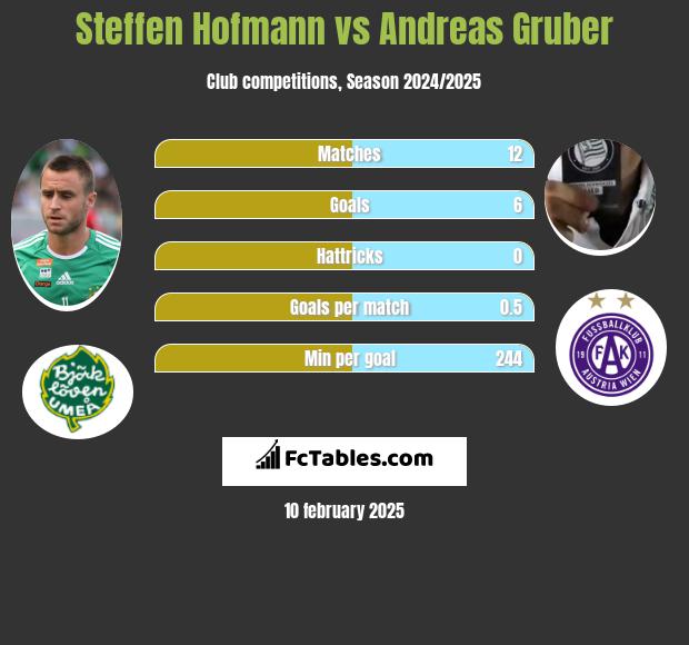 Steffen Hofmann vs Andreas Gruber h2h player stats