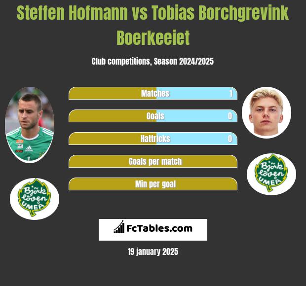 Steffen Hofmann vs Tobias Borchgrevink Boerkeeiet h2h player stats