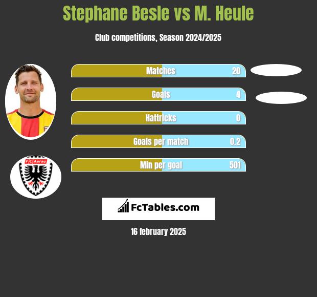 Stephane Besle vs M. Heule h2h player stats