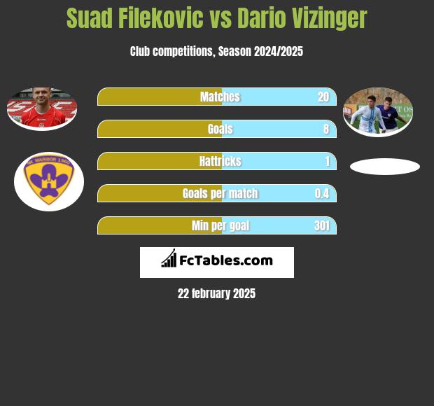 Suad Filekovic vs Dario Vizinger h2h player stats