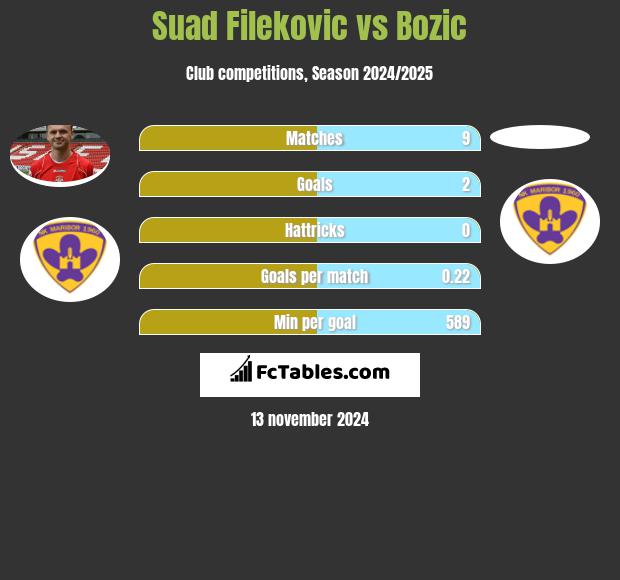 Suad Filekovic vs Bozic h2h player stats