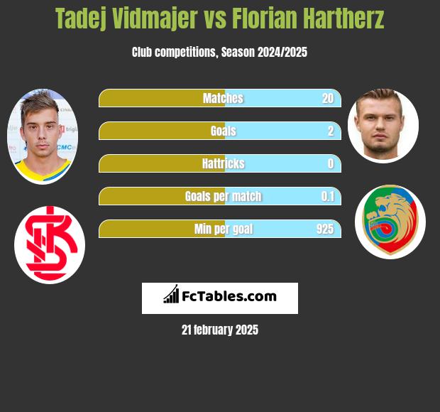 Tadej Vidmajer vs Florian Hartherz h2h player stats