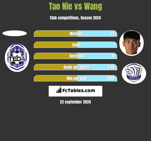 Tao Nie vs Wang h2h player stats