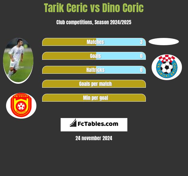 Tarik Cerić vs Dino Coric h2h player stats