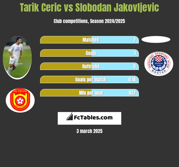 Tarik Cerić vs Slobodan Jakovljevic h2h player stats