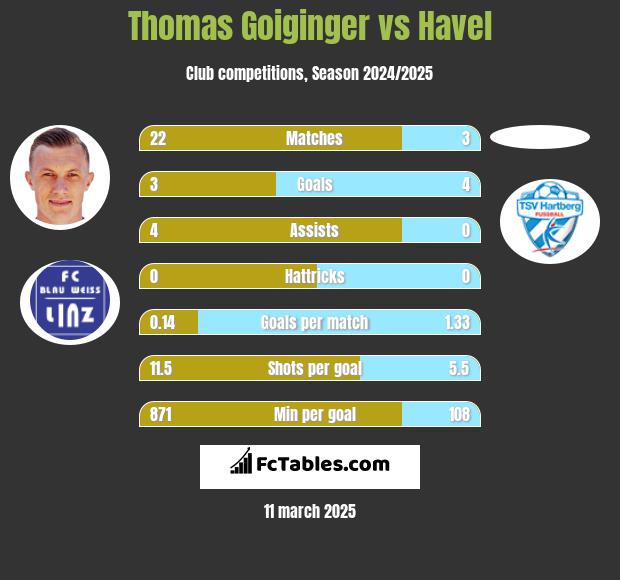 Thomas Goiginger vs Havel h2h player stats