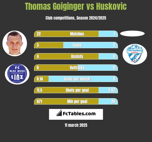 Thomas Goiginger vs Huskovic h2h player stats