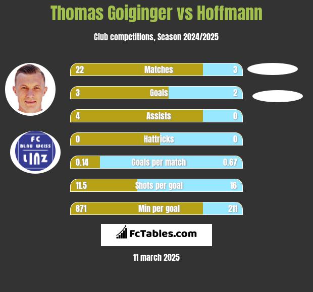 Thomas Goiginger vs Hoffmann h2h player stats