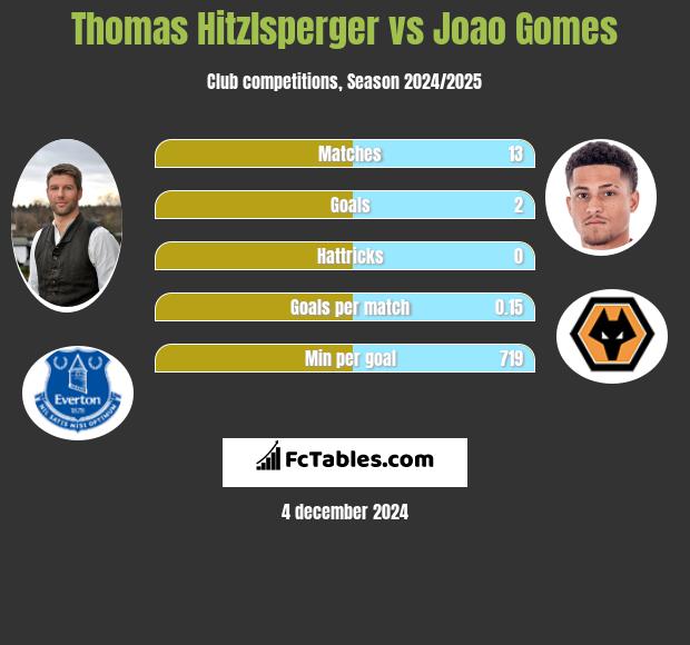 Thomas Hitzlsperger vs Joao Gomes h2h player stats