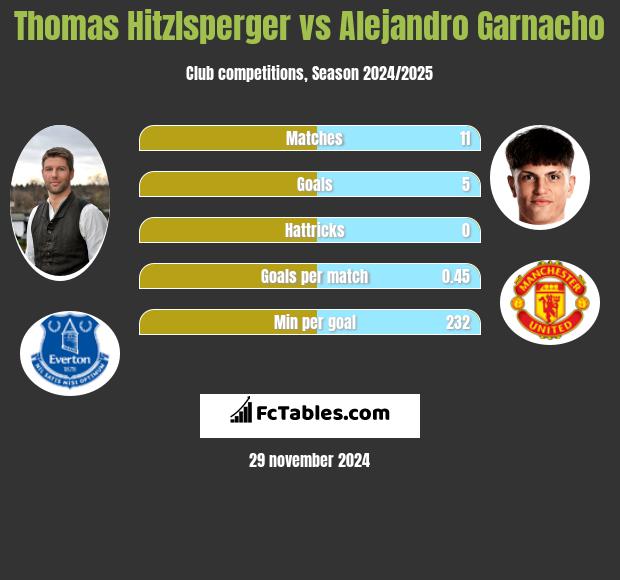 Thomas Hitzlsperger vs Alejandro Garnacho h2h player stats