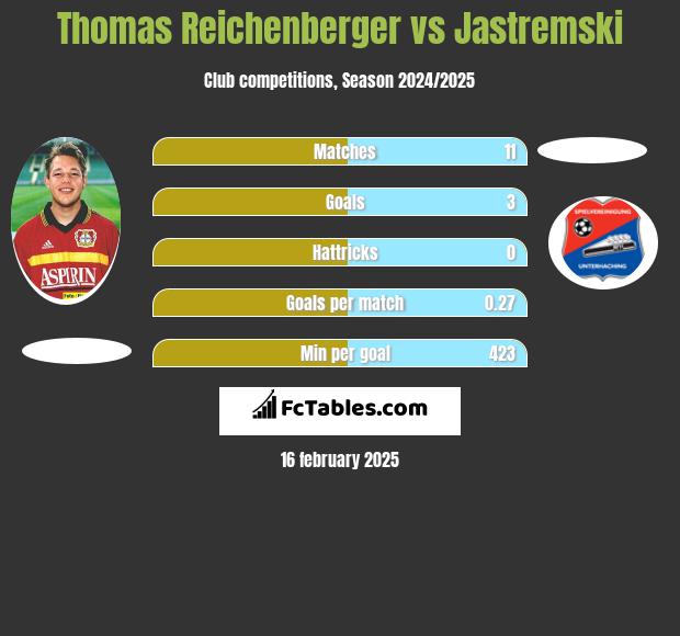 Thomas Reichenberger vs Jastremski h2h player stats