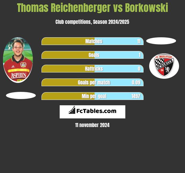 Thomas Reichenberger vs Borkowski h2h player stats