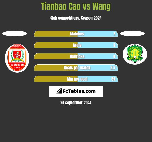 Tianbao Cao vs Wang h2h player stats